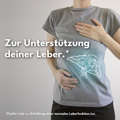 SOLVISAN LEBER VITAL – 4-fach Komplex mit Cholin für eine gesunde Leber. Mit hochwertigem Mariendistel-Extrakt (80 % Silymarin), Artischocken, Löwenzahn und Cholin. 120 Kapseln (4 Monate)