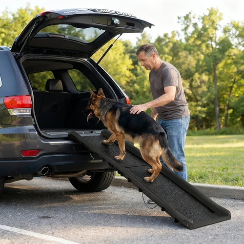 Hundesicherheitsrampe, faltbare Hundehilfe, 155x40 cm, mit rutschfestem Stoff und Griffen, Hunde Rampe, Hunde Treppenstufe, Haustier Rampe, Hunde/Katzen/Haustier Zugangshilfe