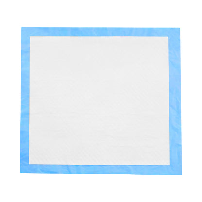 Einweg Hygiene Unterlagen 60x60 cm - 100 Stück - Saugfähige Schutzmatte für Zuhause und für Tiere