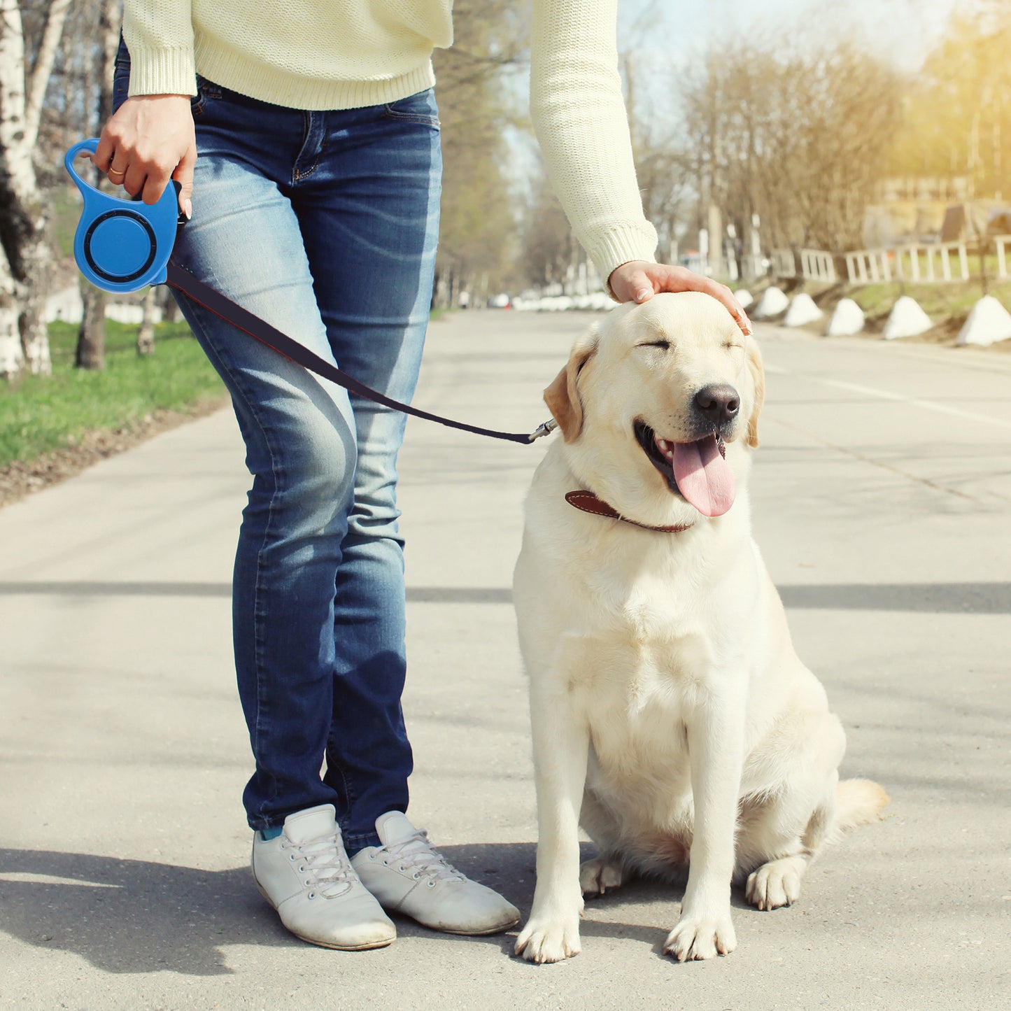 Automatische Hundeleine RETOO Petcare, mit Block für Hunde und Katzen, Flexibles 5M Band, mit Verriegelungsmechanismus, Ideal für kleine Hunde bis zu 15 kg, Bequemer Griff, Langlebiges Band mit Bremsmechanismus, Leine mit festem Clip, Bequemes Spazierenge
