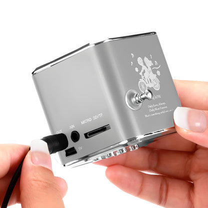 Kabelloser Lautsprecher mit UKW-Radio und LED-Hintergrundbeleuchtung, RETOO TechPro, tragbarer Mini-MP3-Player mit MicroSD-Kartenleser und USB-Anschluss, kompakter Lautsprecher mit integrierter Antenne und Akku, 3,5-mm-Klinkenanschluss für Kopfhörer, USB-