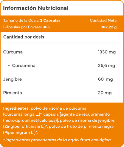 Packung 2X Kurkuma ECO mit Ingwer und Schwarzer Pfeffer - 1410 Mg pro Portion - 730 vegane Kapseln - XL Sparformat - Sevens Nutrition