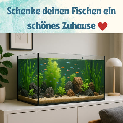 Aquarium Becken Rechteckig Standard Größen Glas Aquariumbecken Mini Aquarium Salzwasseraquarium Nano Aquarium Glasbecken Glasaquarium Aufzuchtbecken