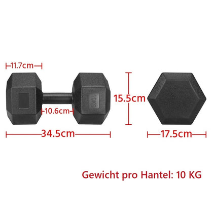 Costoffs 2er-Set Hantel Kurzhanteln Hantelgewicht Fitness Gewichte Kurzhantelgewicht für Krafttraining