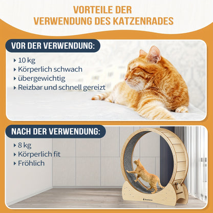 Rennkatzen Katzen Laufrad, Katzen Laufrad für Katzen und Hunde XL, Hochwertiges Indoor Katzenrad, Naturholz, Sicher und Komfortabel, Großes Katzenrad für den Innenbereich