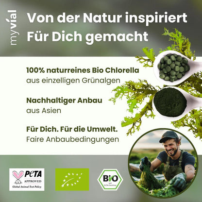 Bio Chlorella Tabletten hochdosiert 240 Stück 500mg Vegan, ohne Zusätze, plastikfrei verpackt, Algen Presslinge aus Mikroalge, Chlorella Vulgaris Zellwand aufgebrochen