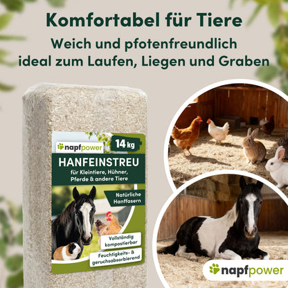 napfpower® Hanfeinstreu 14 kg für Hühner, Kleintiere & Pferde | staubarmes Hanfstreu für Hühner & Kleintiere | extrem saugfähiges & kompostierbares Hanf Einstreu für Tierställe
