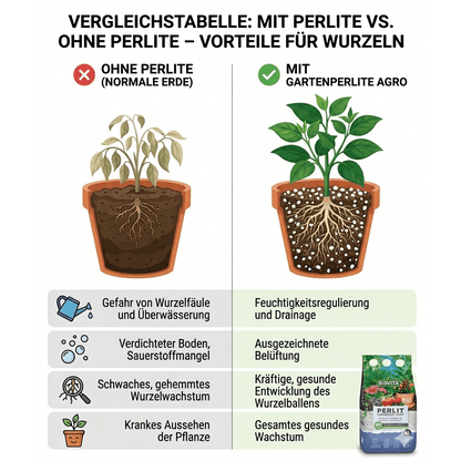 BIOVITA Perlit 10L - Perlite für Pflanzen zur Boden Substratverbesserung - 3-6mm - Bodenverbesserung - Feuchtigkeitsspeicher Substrat - Ideal für Garten & Zimmerpflanzen