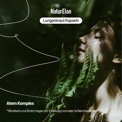 Lungenkraut Kapseln - Atem Komplex, 120 Kapseln mit 400mg pro Tagesdosis, mit Lungwort, Salbei, Pfefferminze, Süßholzwurzel, Polyphenol-Extrakte uvm - Herbst- und Winter-Must-have - Vegan, ohne Zusätze, in Deutschland produziert