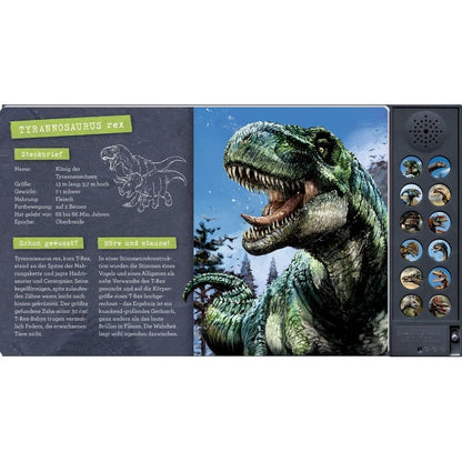 Das große Dinosaurier Soundbuch - Buch - 12 wissenschaftlich rekonstruierte Saurier Geräusche - Barbara Wernsing - Pappe mit Soundleiste mit 12 Tierstimmen - 24 S. - Deutsch - 2024 - Coppenrath - EAN 9783649647775