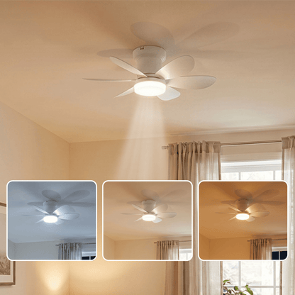 52 cm Deckenventilator mit LED-Lampe MISTRAL, kleiner, leiser Ventilator für Kinderzimmer, Büro, Küche, DC-Motor, geringer Stromverbrauch, reversibel für Sommer und Winter mit Fernbedienung, Holzfarbe