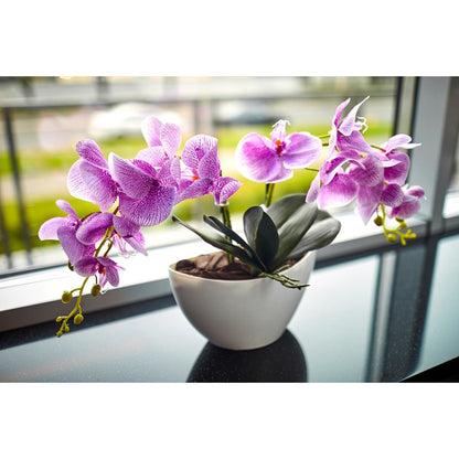 Naturerde für Orchideen 3L Biovita