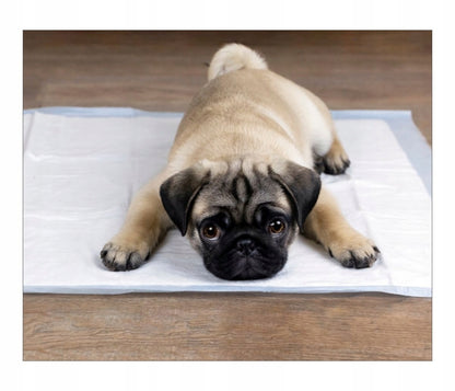 HYGIENISCHE SORBIERENDE UNTERLAGEN HUNDE-PISS-TRAININGS-MATTEN 90x60 50 Stk. 60x60 100 Stk. 45x60 100 Stk