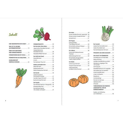 Fermentieren ganz einfach - Buch - Superfood für den Darm - Katrin Thomas - 96 S. - Deutsch - 2023 - Stocker Leopold Verlag - EAN 9783702020569
