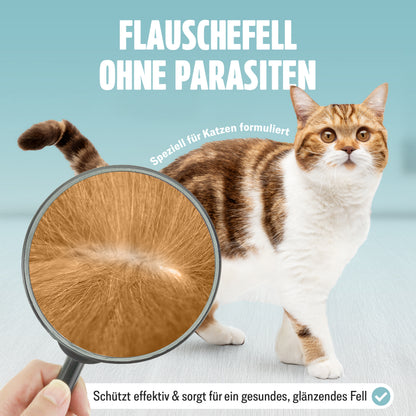 FUTUM Spot on für Katzen 6x1,2 ml Pipetten MADE IN GERMANY