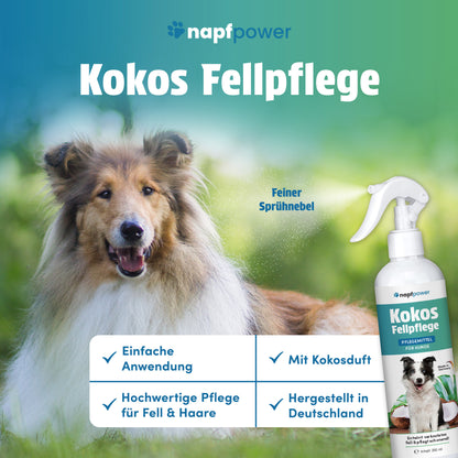 napfpower® Fellspray Hund mit Kokosduft (250 ml) | Fellpflege für Hunde | Entfilzungsspray & Glanzspray für einfache Kämmbarkeit | Fellspray für ein glänzendes Hundefell | Entwirrt verknotetes Fell & pflegt sanft