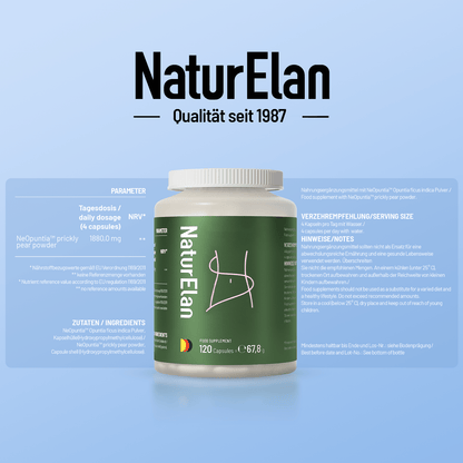 Prickly Pear Extract Kapseln, 120 Kapseln – Natürliche Unterstützung für eine bewusste und kalorienbewusste Ernährungsplanung