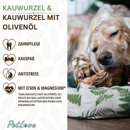 PetLove Kauwurzel mit Olivenöl – langlebiger Kausnack für Hunde, natürliche Zahnreinigung und Beschäftigung, splitterfrei & robust, in verschiedenen Größen XS–XL (60–1000 g) – gesunde Alternative zu künstlichen Kauartikeln