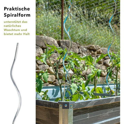 Tomatenspiralstäbe – Rankhilfe & Spiralstab für Tomatenpflanzen – Pflanzstäbe aus verzinktem Stahl – Stabiler Tomatenstab für Garten & Hochbeet