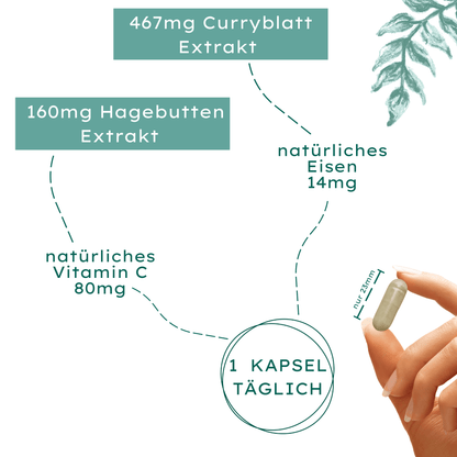 Eisen - 180 Kapseln hochdosiert - 14mg Eisen & 80mg Vitamin C pro Kapsel - aus Curryblatt & Hagebutte - Zertifiziert & Nachhaltig im Glas - abgefüllt & laborgeprüft in Deutschland - made in Germany