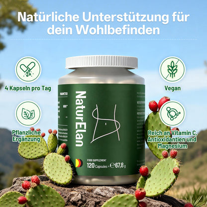 Prickly Pear Extract Kapseln, 120 Kapseln – Natürliche Unterstützung für eine bewusste und kalorienbewusste Ernährungsplanung