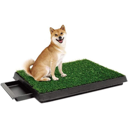 Hundeklo Ttoilette Welpentoilette Rasen Hundetoilette Gras Trainingsunterlage Stubenrein Haustiere WC Toilette Waschbar