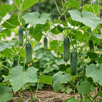 Netz für Kletterpflanzen 1,5 × 10 m, Unterstützung für Gurken, Bohnen, Erbsen und Tomaten, Gartenetz für vertikale Anzucht und Führung von Pflanzen nach oben, langlebiges Rankgitter für Gemüse und Zierpflanzen, resistent gegen Regen, Wind und Sonnenstrahl