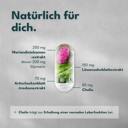 SOLVISAN LEBER VITAL – 4-fach Komplex mit Cholin für eine gesunde Leber. Mit hochwertigem Mariendistel-Extrakt (80 % Silymarin), Artischocken, Löwenzahn und Cholin. 120 Kapseln (4 Monate)