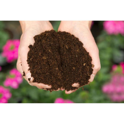 Universal Erdreich 10L für grüne Pflanzen Biovita