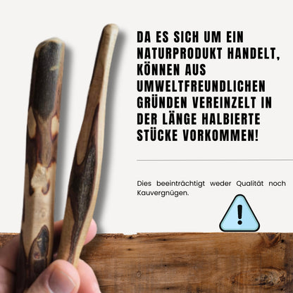 PetLove Olivenholz 2er-Pack – Naturkauholz für Hunde mit Olivenöl oder Lachsöl, in den Größen S, M und L. Langlebig und ideal zur Zahnreinigung. Fördert gesunde Zähne, kräftige Kaumuskeln und sorgt für langanhaltende Beschäftigung bei kleinen, mittleren u