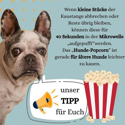 PetLove Hartkäse für Hunde, 3er Pack, in 5 Größen XS–XL – 100 % Natur, extra lange Kaudauer, zahnreinigend & fettarm – schonend getrockneter Yak-Käse aus reiner Milch – gesundes Kauvergnügen für Welpen, erwachsene & ältere Hunde – glutenfrei & ohne Zusatz