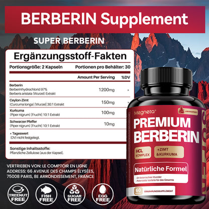 2er-Pack Berberin-Nahrungsergänzungsmittel | 27in 1 mit Ceylon-Zimt  Kurkuma – Hochwirksames Berberin 1460 mg mit Ceylon-Zimt, Kurkuma  schwarzem Pfeffer | 120 vegane Kapseln für Männer  Frauen