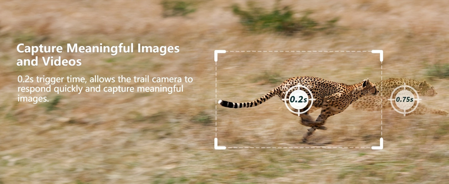 Solarbetriebene 3G/4G LTE Mobilfunk-Wildkamera mit 2.7K Live-Streaming, 0.2s Bewegungsauslösung, Nachtsicht, SD/Speicher im Cloud, App-Steuerung & inklusive SIM-Karte - Jagd- und Wildtierkamera für den Außengebrauch