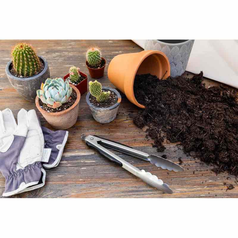 Aloe-Kaktus- und Sukkulentenerde, 5L für Garten und Terrasse – Detailansicht 5