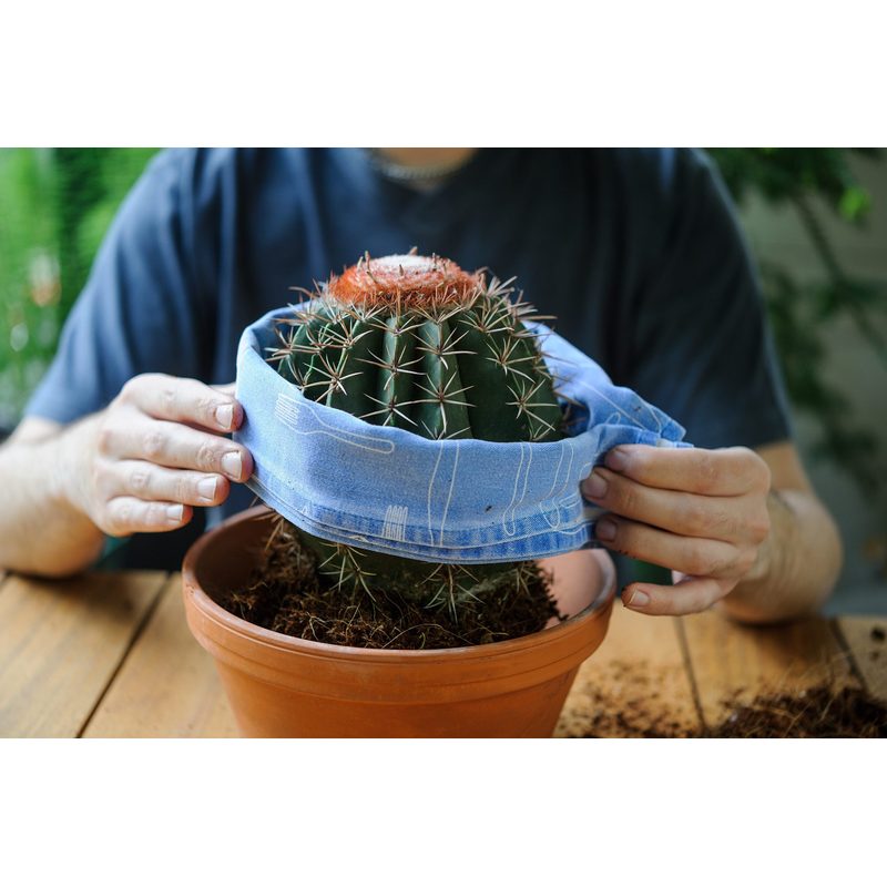 Aloe-Kaktus- und Sukkulentenerde, 5L für Garten und Terrasse – Detailansicht 7