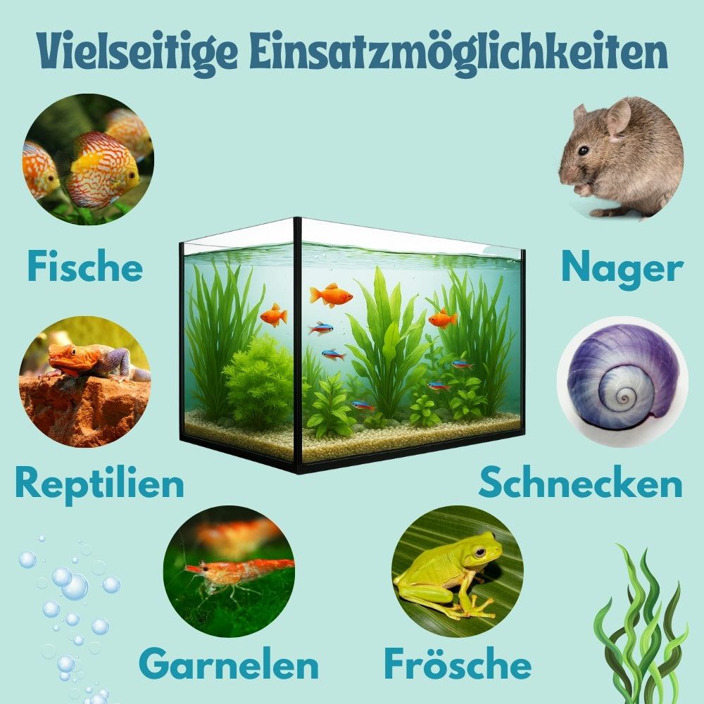 Aquarienhintergründe, Glas für Haustiere und Zuhause – Detailansicht 19