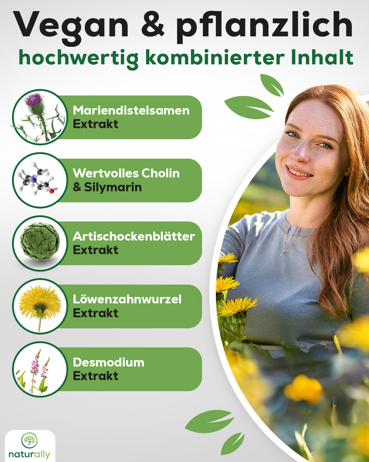 Artischocken, 125 Stück für Alltag und Zuhause – Detailansicht 11