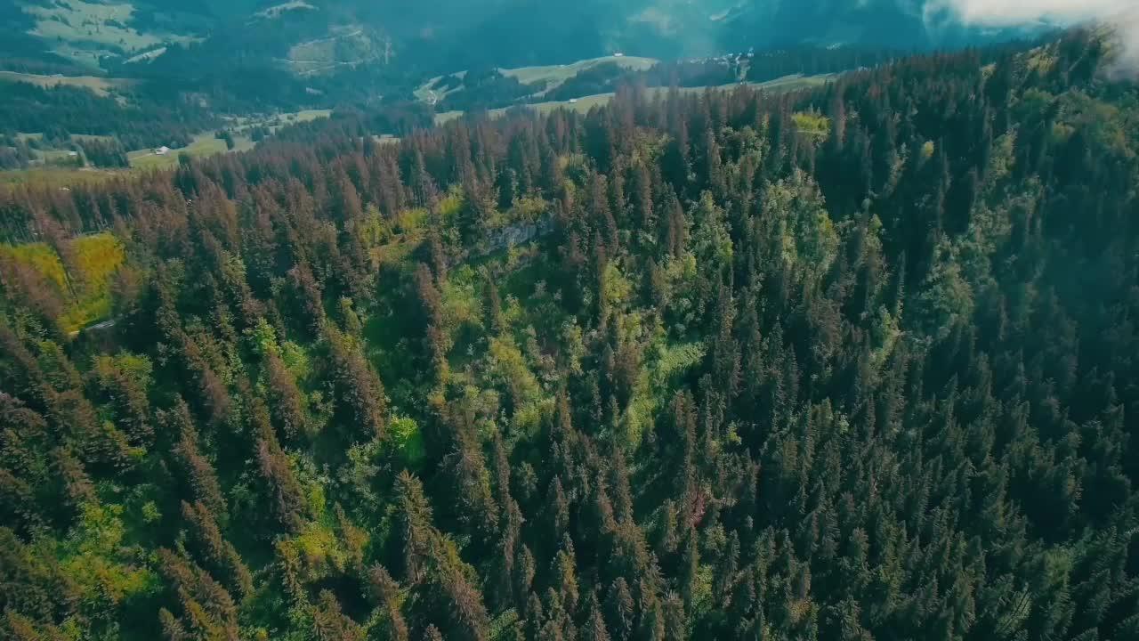 Ätherische Öle Geschenkset, 5ml für Diffuser und Liebhaber – Detailansicht 10