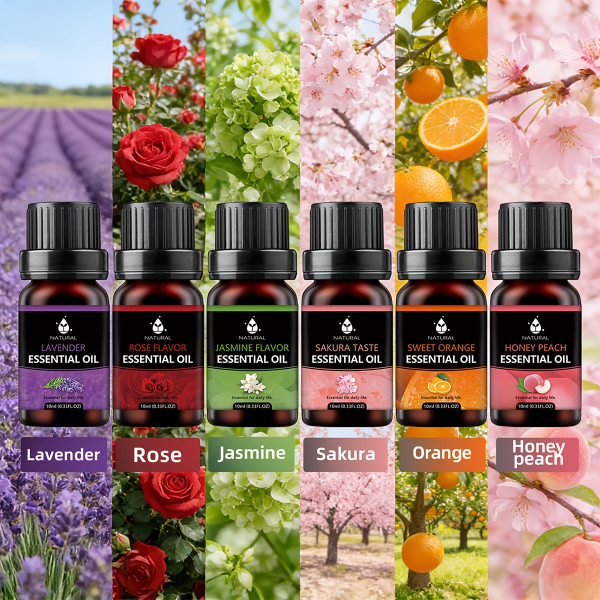 Ätherische-Öle-Set, 10ml für Fahrzeug und unterwegs – Detailansicht 6