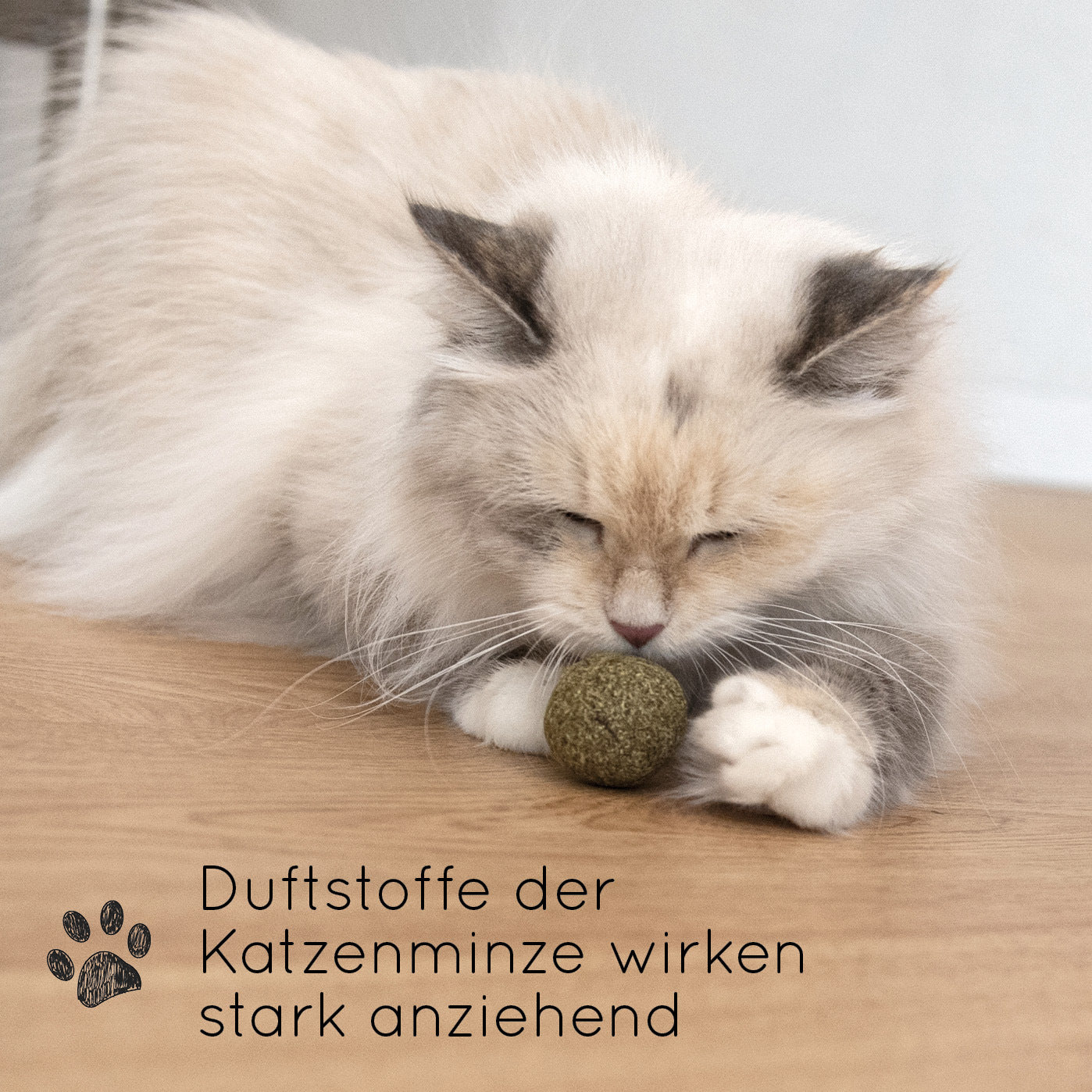 Bälle und Jagdspielzeug, 3 für Haustiere und Zuhause – Detailansicht 3