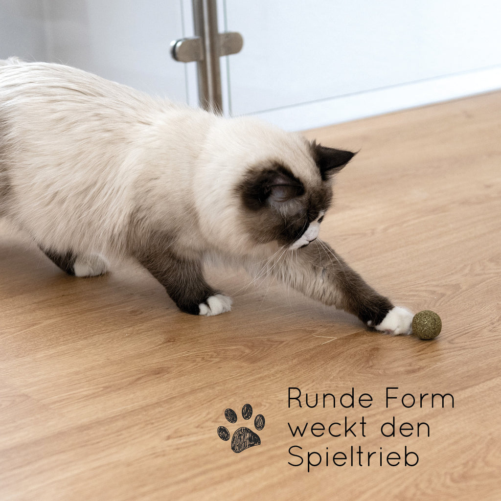 Bälle und Jagdspielzeug, 3 für Haustiere und Zuhause – Detailansicht 5