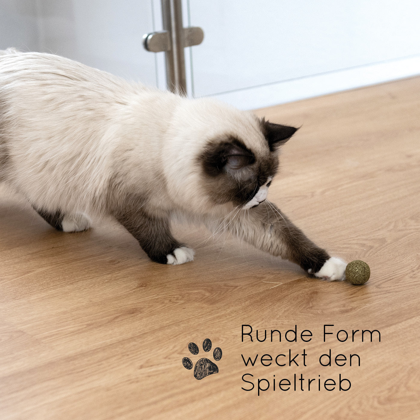 Bälle und Jagdspielzeug, 3 für Haustiere und Zuhause – Detailansicht 5