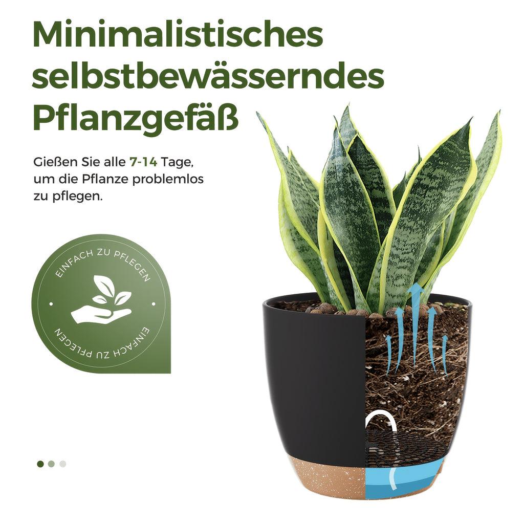 Bamworld Kunststoff-Blumentöpfe, 20,3 cm für Garten und Terrasse – Detailansicht 2