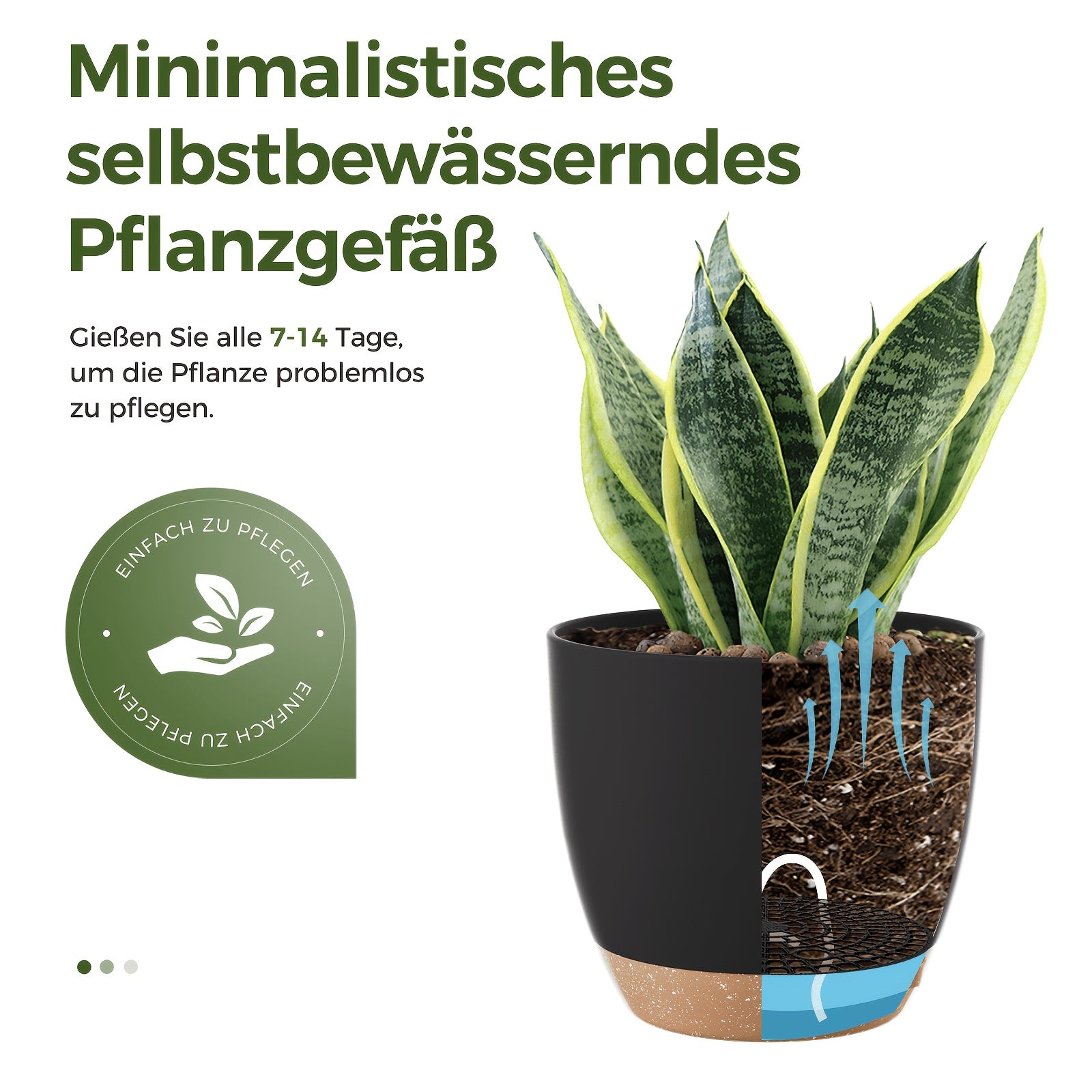 Bamworld Kunststoff-Blumentöpfe, 20,3 cm für Garten und Terrasse – Detailansicht 2