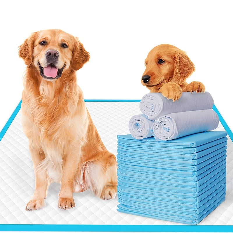 Basic Hunde- und Welpen Trainingspads, 100 Stück für Haustiere und Zuhause – Hauptansicht