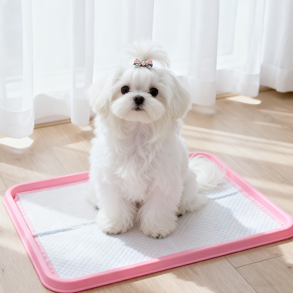 Basic Hunde- und Welpen Trainingspads, 100 Stück für Haustiere und Zuhause – Detailansicht 3