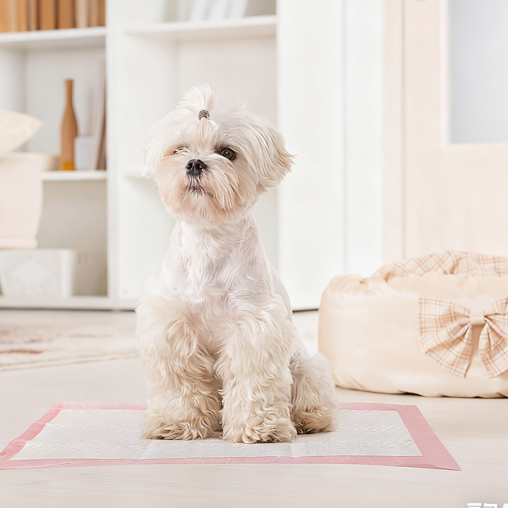 Basic Hunde- und Welpen Trainingspads, 100 Stück für Haustiere und Zuhause – Detailansicht 7