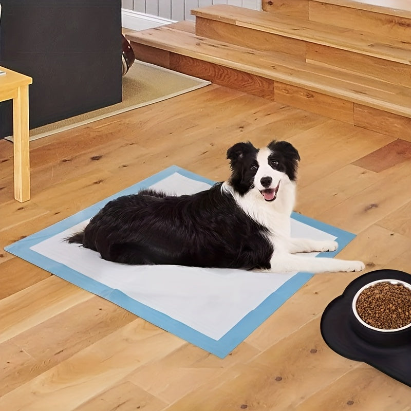 Basic Hunde- und Welpen Trainingspads, 100 Stück für Haustiere und Zuhause – Detailansicht 12