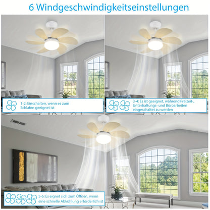 Chrom/Gefärbt/Weiß/Holzfarbe/Messingfarbe Deckenventilator mit Licht und Fernbedienung, leise Deckenleuchte, 6 Flügel, 75 cm, Ventilator mit Zeitfunktion, Einzelne Lampenleuchte, für Sommer/Winter im Schlafzimmer, Esszimmer (Ohne Leuchtmittel)