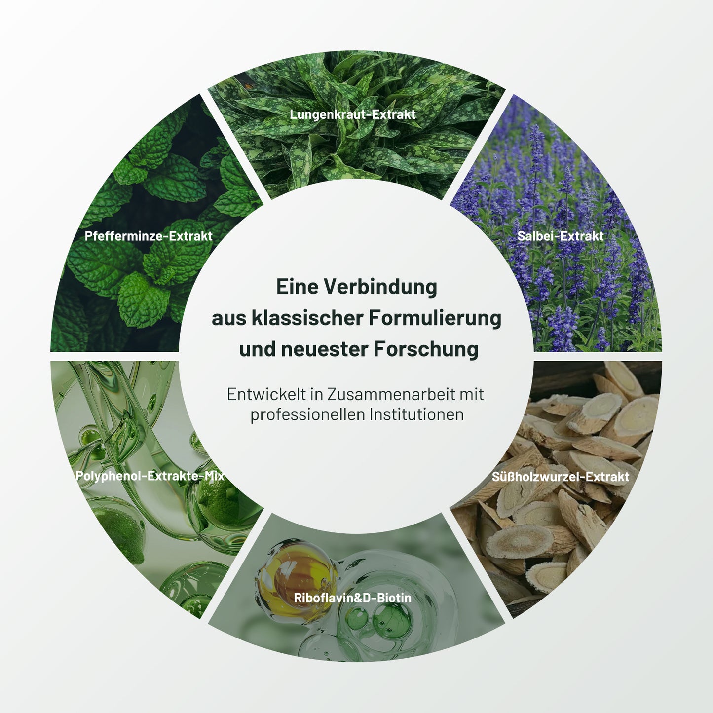 Lungenkraut Kapseln - Atem Komplex, 120 Kapseln mit 400mg pro Tagesdosis, mit Lungwort, Salbei, Pfefferminze, Süßholzwurzel, Polyphenol-Extrakte uvm. Vegan, ohne Zusätze, in Deutschland produziert
